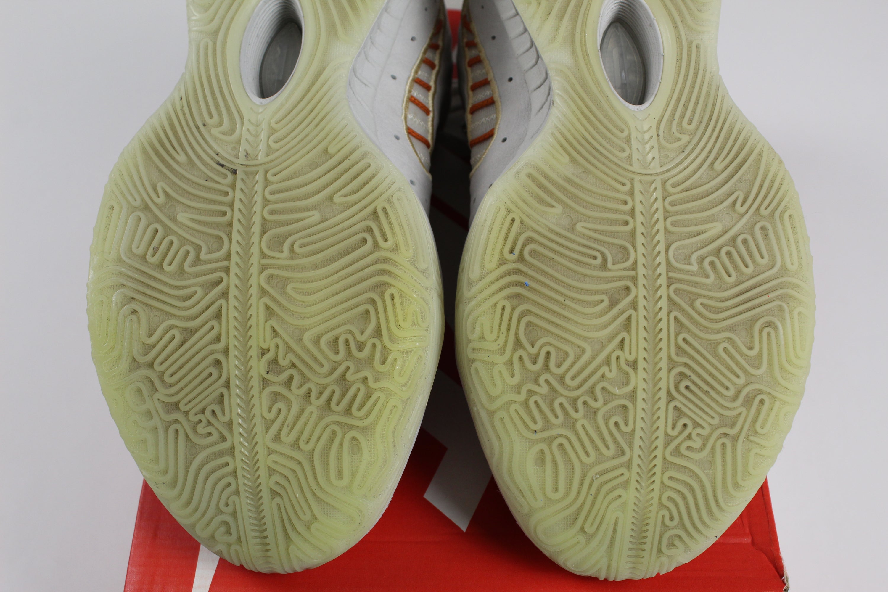 (PRE-OWNED) Nike LeBron 21 Akoya