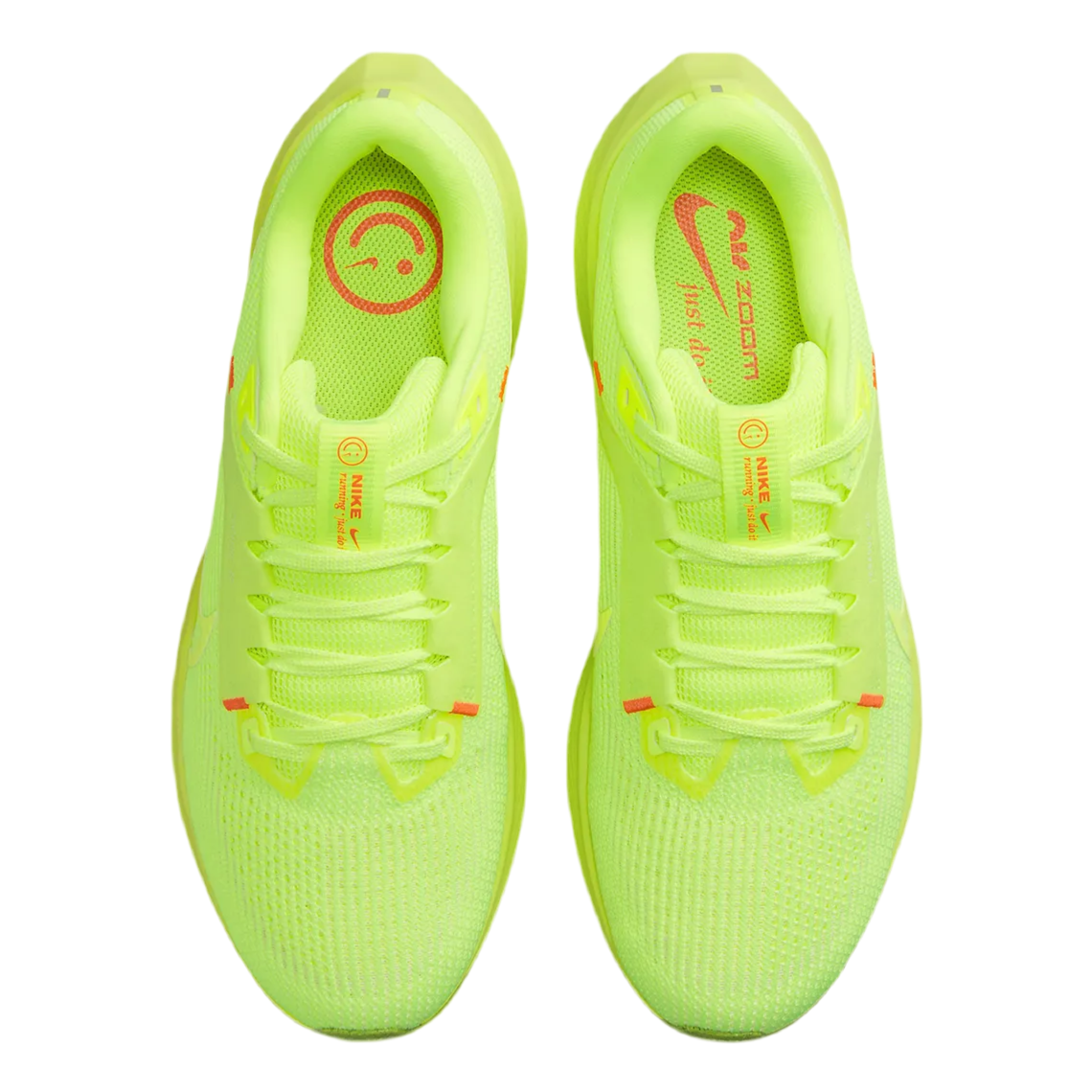 Nike Pegasus 40 Grinch (WMNS)