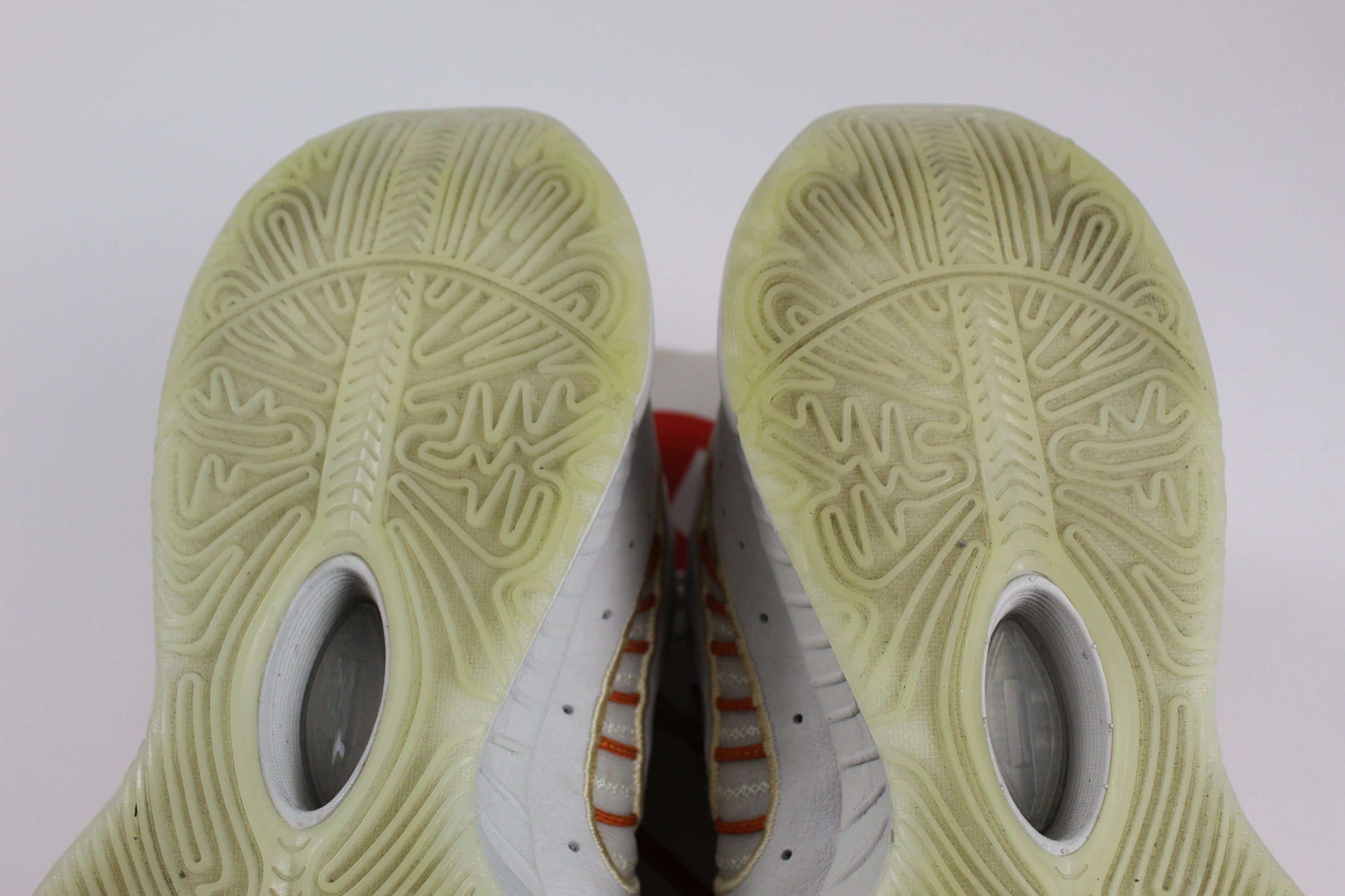 (PRE-OWNED) Nike LeBron 21 Akoya