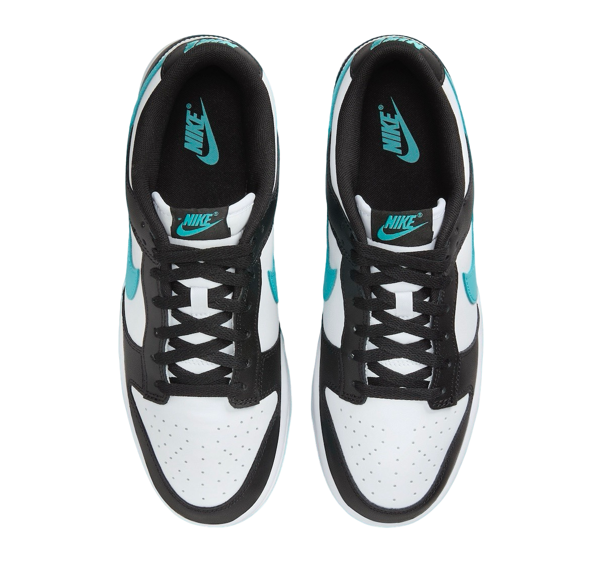 Nike Dunk Low Black Dusty Cactus