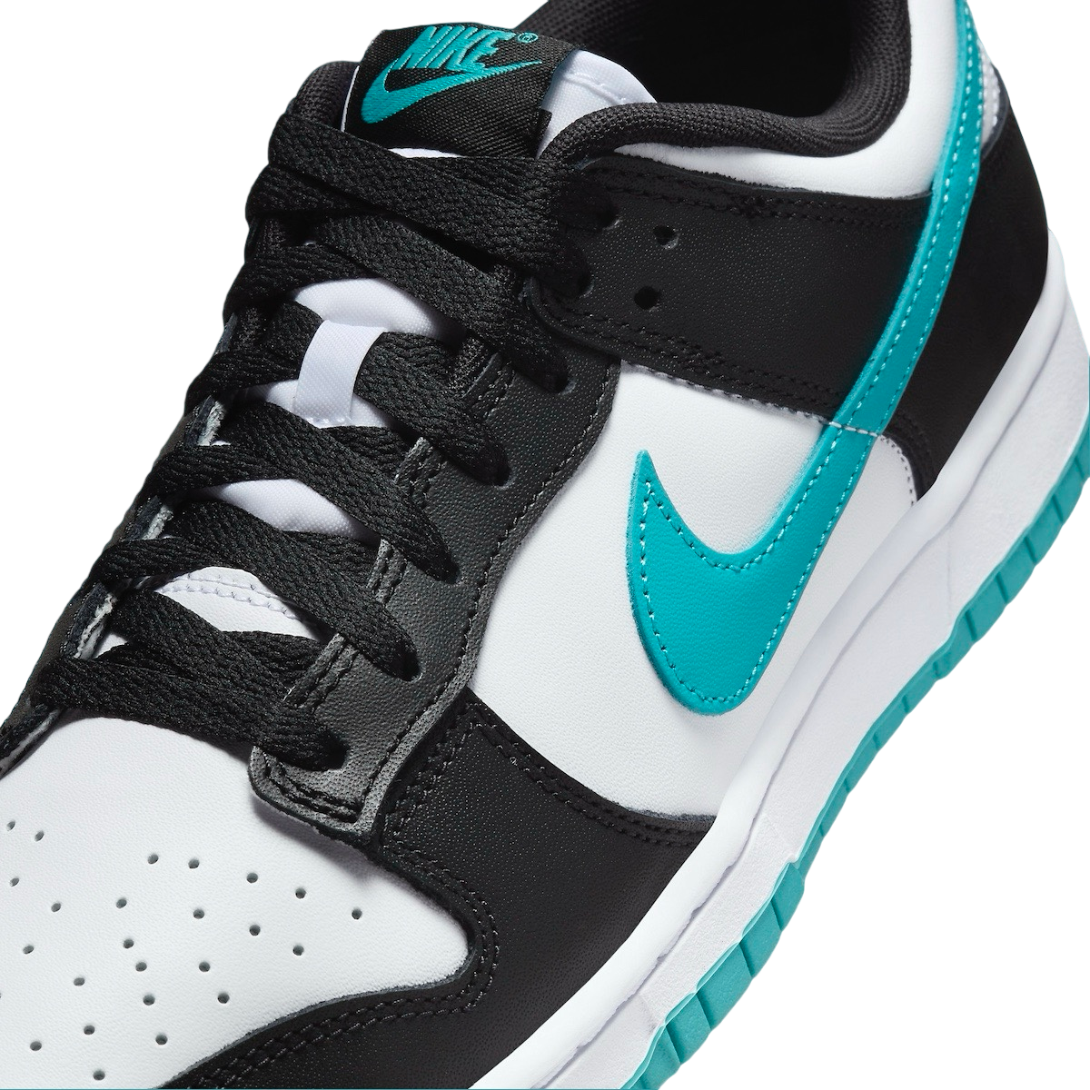 Nike Dunk Low Black Dusty Cactus